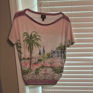 Scenic Print Pink Top